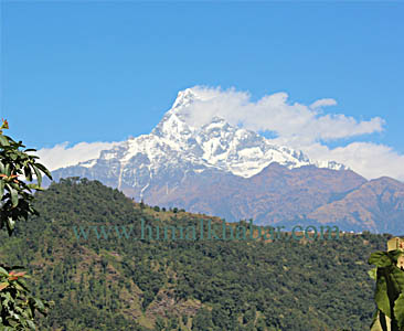 माछापुछ्रे एक, तस्वीर अनेक