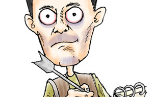 वैकल्पिक टेको