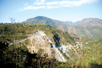 नियम मिच्दै जिविस
