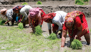 बर्खामा छालाको स्याहार