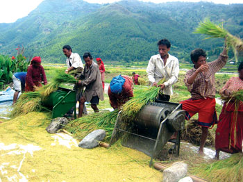 कृषिमा लगानी बालुवामा पानी