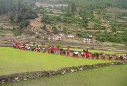 धादिङका किसानलाई अनुदान
