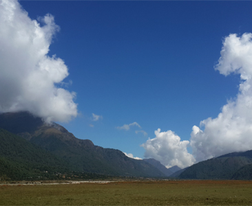जीपमा ढोरपाटन (दश तस्वीर)