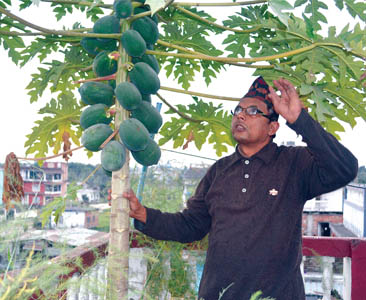 चारतला माथि बगैंचा