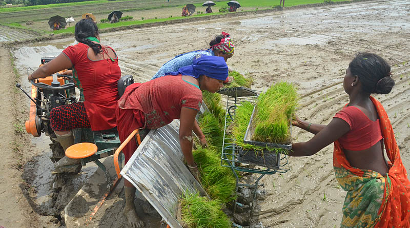 कृषिमा कायापलट
