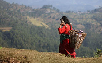 ‘पानी त सुन भयो’