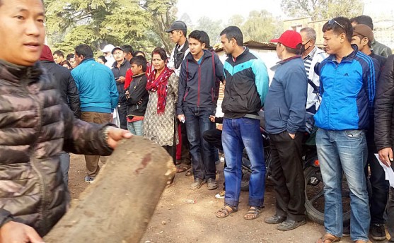 राजधानीमा पाँच महिनामा २१ हजार क्विन्टल दाउरा बिक्री