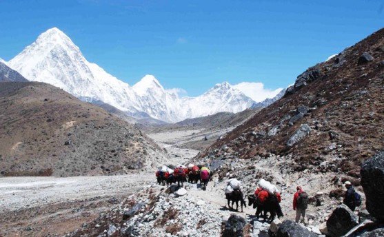 २ वर्षपछि सगरमाथा आरोहण शुरू