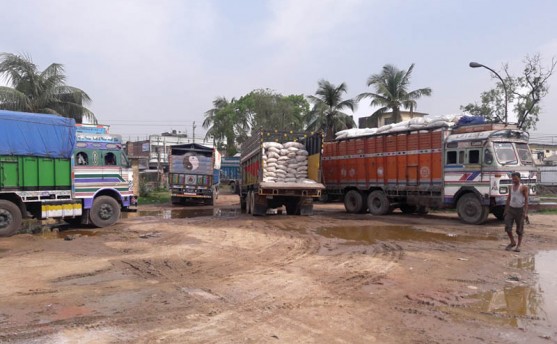यसवर्ष रासायनिक मलको अभाव नहुने