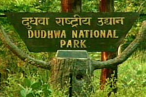 नेपाली महिला पाँच घन्टापछि मुक्त