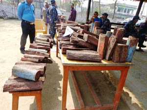 सेनाका पुर्व कर्णेलको घरबाट रक्तचन्दन बरामद