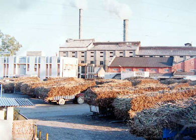 चिनी उद्योगमा लागेको आगो निभाइयो