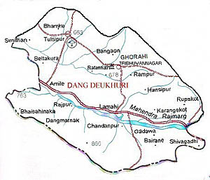 दाङमा बस र ट्रक जुध्दा १५ घाइते