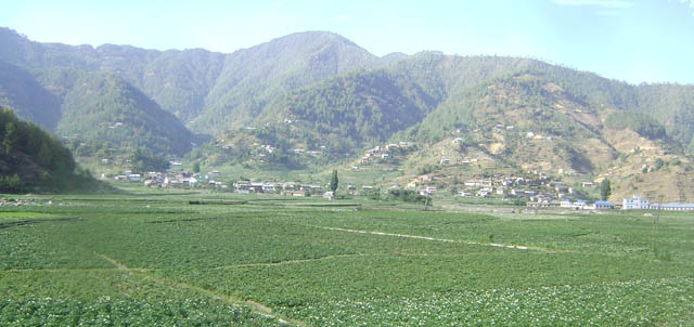 तरकारीबाट विकास