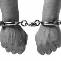 चितवनमा अवैध हतियार सहित तीन पक्राउ