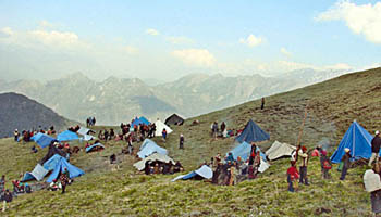 यार्साको संकलनका लागि स्ववियु निर्वाचन सारियो