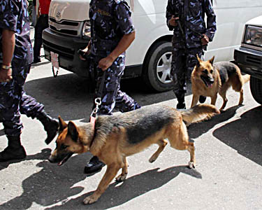 लुसी, विष्णु, ज्याक, एमी र लैलाको अनुसन्धान (फोटो फिचर)