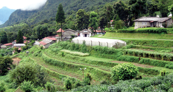 वैज्ञानिक नहुँदा लुम्लेको बिजोग