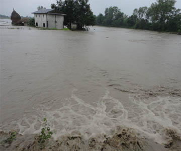 बाढीले १४ परिवार विस्थापित