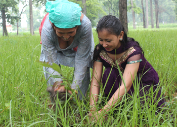 यति एयरलाईन्स र राईका टुर्सद्वारा वृक्षरोपण(आठ तस्वीर)