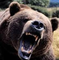 बेग्लाबेग्लै घटनामा तीनको मृत्यु