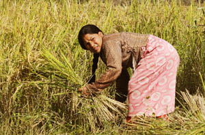 उम्मेदवार र जनताबीच ‘लुकामारी’