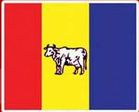 मतगणनास्थलमै हृदयघात