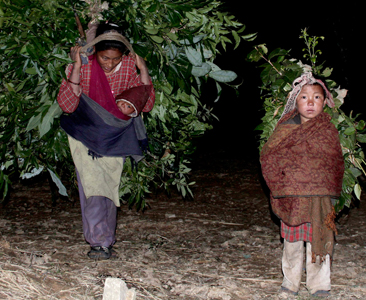 दृष्यमा दक्षिणी ललितपुर  (फोटो फिचर)