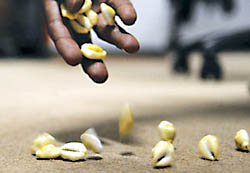 नवलपरासीमा १८ जुवाडे पक्राउ