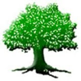 राष्ट्रपति यादवका छोरा विजयी