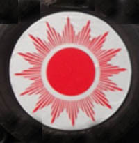 एमाले समानुपातिकतर्फ कास्कीमा पहिलो