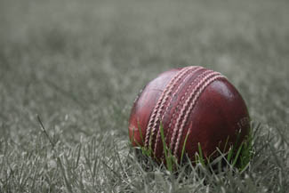 अफगानिस्तानमा पाँच क्रिकेट खेलाडीको हत्या