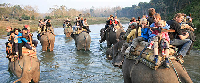 निकुञ्जमा ७ महिनामा साढे ११ करोड बढी राजस्व