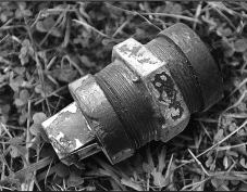 डोल्पामा बम फेला