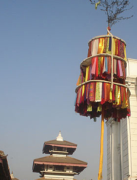 काठमाडौंमा फागु शुरु