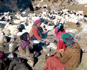 बाटोमै बच्चा जन्माउँछन् भोटे महिला