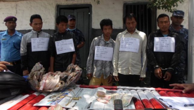 धनकुटामा डकैती गर्ने दुई समूह पक्राउ